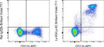 Ly-6G/Ly-6C Antibody in Flow Cytometry (Flow)