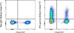 IFN gamma Antibody in Flow Cytometry (Flow)