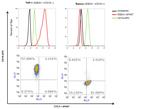 SSEA1 Antibody in Flow Cytometry (Flow)