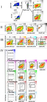 CD73 Antibody in Flow Cytometry (Flow)