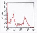 CD73 Antibody in Flow Cytometry (Flow)