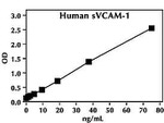 Human VCAM-1 ELISA Kit