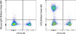 CD3 Antibody in Flow Cytometry (Flow)