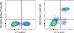 CD4 Antibody in Flow Cytometry (Flow)