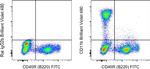 CD11b Antibody in Flow Cytometry (Flow)