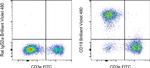 CD19 Antibody in Flow Cytometry (Flow)