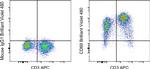 CD69 Antibody in Flow Cytometry (Flow)