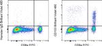 CD103 (Integrin alpha E) Antibody in Flow Cytometry (Flow)