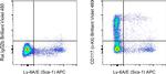 CD117 (c-Kit) Antibody in Flow Cytometry (Flow)