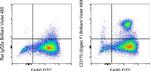 CD170 (Siglec F) Antibody in Flow Cytometry (Flow)