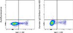 Syrian Hamster IgG Isotype Control in Flow Cytometry (Flow)