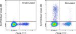 Ki-67 Antibody in Flow Cytometry (Flow)