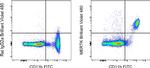 MERTK Antibody in Flow Cytometry (Flow)