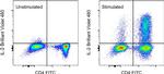 IL-2 Antibody in Flow Cytometry (Flow)