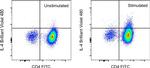 IL-4 Antibody in Flow Cytometry (Flow)