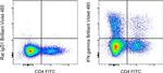 IFN gamma Antibody in Flow Cytometry (Flow)