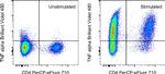 TNF alpha Antibody in Flow Cytometry (Flow)