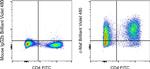 c-MAF Antibody in Flow Cytometry (Flow)