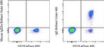 IgD Antibody in Flow Cytometry (Flow)