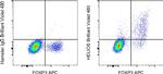 HELIOS Antibody in Flow Cytometry (Flow)