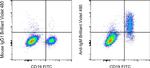 IgM Antibody in Flow Cytometry (Flow)