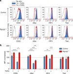 T-bet Antibody in Flow Cytometry (Flow)