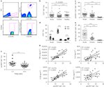 HLA-DR Antibody in Flow Cytometry (Flow)