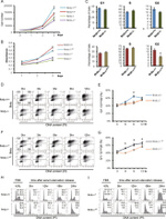 BrdU Antibody in Flow Cytometry (Flow)