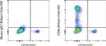 CD8a Antibody in Flow Cytometry (Flow)