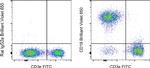 CD19 Antibody in Flow Cytometry (Flow)