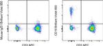 CD19 Antibody in Flow Cytometry (Flow)