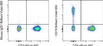 CD19 Antibody in Flow Cytometry (Flow)