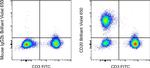 CD20 Antibody in Flow Cytometry (Flow)