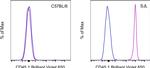 CD45.1 Antibody in Flow Cytometry (Flow)