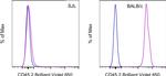 CD45.2 Antibody in Flow Cytometry (Flow)