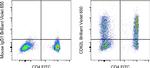 CD62L (L-Selectin) Antibody in Flow Cytometry (Flow)