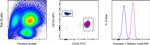 Arginase 1 Antibody in Flow Cytometry (Flow)