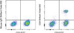 Mouse IgG1 kappa Isotype Control in Flow Cytometry (Flow)