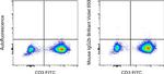 Mouse IgG2b kappa Isotype Control in Flow Cytometry (Flow)