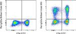 IL-17A Antibody in Flow Cytometry (Flow)