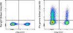 IFN gamma Antibody in Flow Cytometry (Flow)