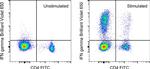 IFN gamma Antibody in Flow Cytometry (Flow)