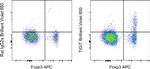 TIGIT Antibody in Flow Cytometry (Flow)