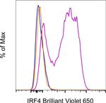 IRF4 Antibody in Flow Cytometry (Flow)