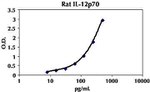 Rat IL-12 p70 ELISA Kit