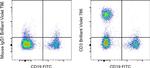 CD3 Antibody in Flow Cytometry (Flow)