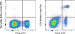 CD4 Antibody in Flow Cytometry (Flow)