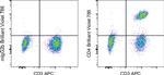 CD4 Antibody in Flow Cytometry (Flow)