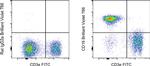 CD19 Antibody in Flow Cytometry (Flow)