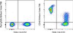 CD45 Antibody in Flow Cytometry (Flow)